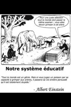 NOTRE SYSTEME EDUCATIF – Albert EINSTEIN