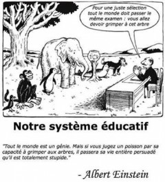 NOTRE SYSTEME EDUCATIF – Albert EINSTEIN